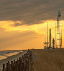 Cygnus.jpg