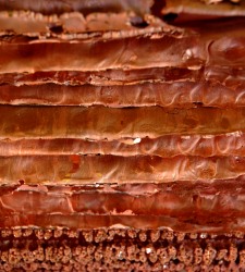cobre.jpg