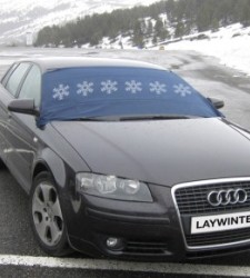 laywinter.jpg