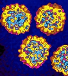 Virus-hepatitis-c-225x250.jpg