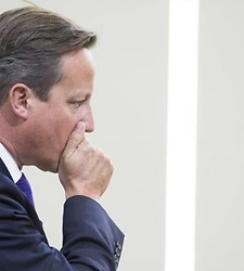 225x250_cameron-efe.jpg