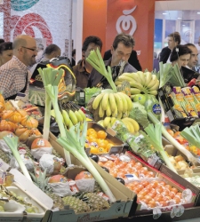 fruit.jpg
