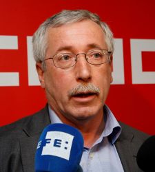 Toxo-frente.jpg