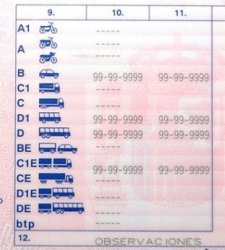 carnet_conducir.jpg