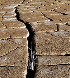 cambio_climatico.jpg