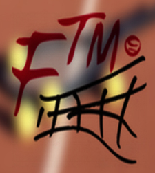 fmt.jpg