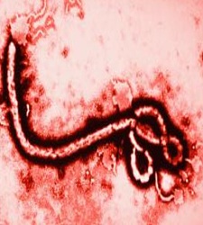 ebolavirus.jpg