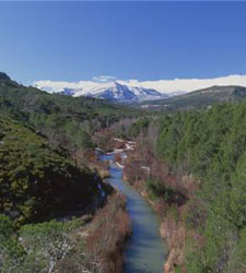 Naturaleza
