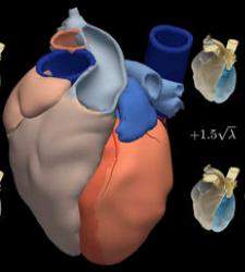 corazon-estadisticas-upf.jpg