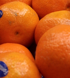 naranjas.jpg