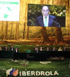 iberdrola-resultados-bosque.jpg