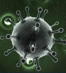 hepatitisC-ilustracion.jpg