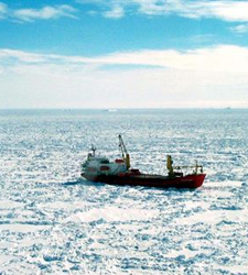 barcohielo.jpg