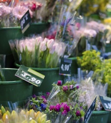 flores-precios.jpg