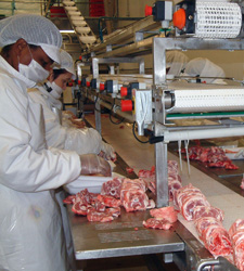 seguridad alimentaria