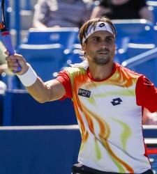 David Ferrer