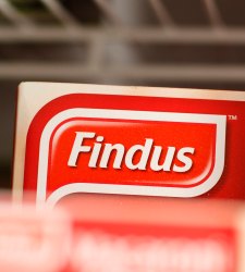 findus_caja.JPG