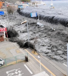 fukushimaq.jpg
