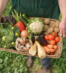 agricultura-ecologica