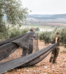 Jóvenes agricultores