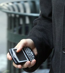 blackberry