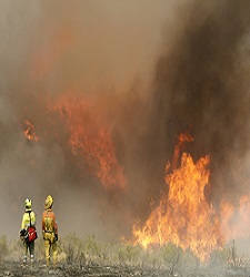 incendio-forestal.jpg
