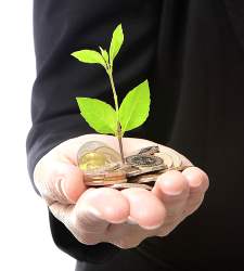 crecimiento-planta-225-istock.jpg