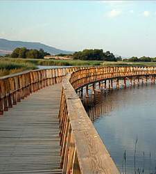 Las Tablas de Daimiel