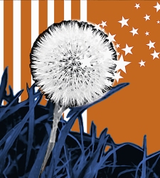 ilustracion_wallstreet.jpg