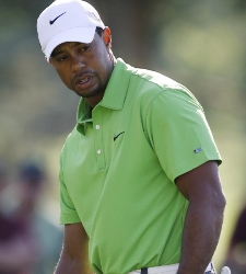 tiger_wgc.jpg