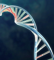 genes.jpg