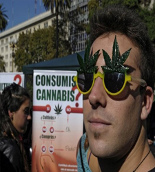 despenalizacion cannabis