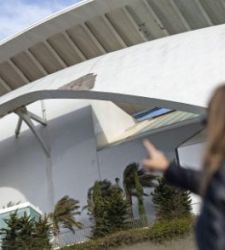 PalaudelesArtsDesconchado225.jpg