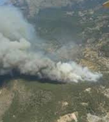 incendio forestal