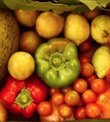 alimentosecologicos225.jpg
