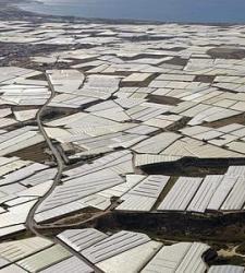 El Ejido transformará plásticos <i>de invernadero</i> en millones de litros de diésel