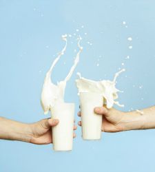 leche-vasos-dos.jpg