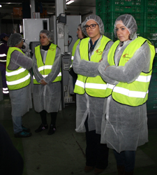 Cooperativa Champinter de Villamalea