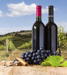 vinos-225.jpg