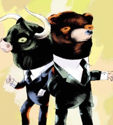 oso-toro.jpg
