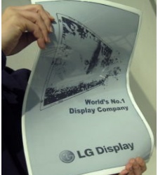 lg_hoja.jpg