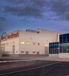 VerdifreshfabricaAranda225.JPG