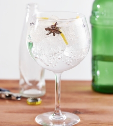 gintonic-225x250.jpg