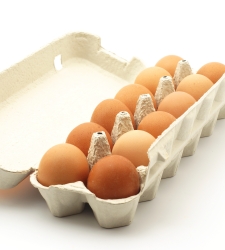 huevos