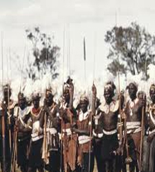tribu.jpg