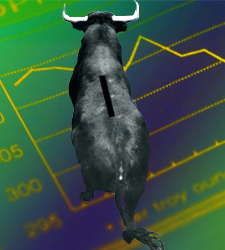 toro-grafico.jpg