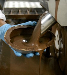cacao.jpg