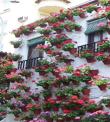 cordoba.jpg