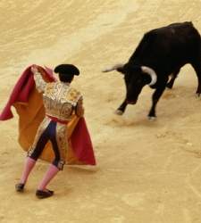 toros-arena.jpg