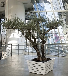 GuggenheimYokoOnoGg225.jpg